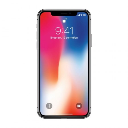 Смартфон Apple iPhone X 256GB Space Gray фото 1