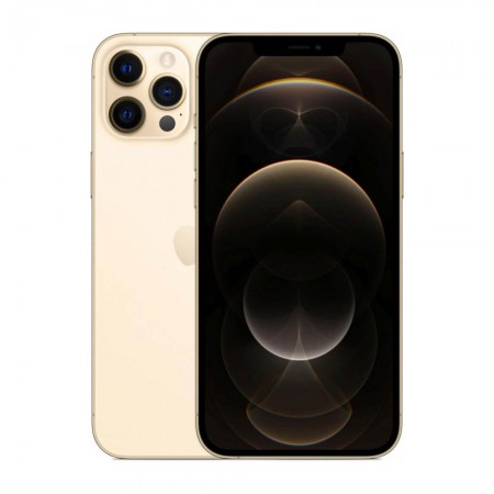 Смартфон Apple iPhone 12 Pro Max 256GB Золотой фото 1