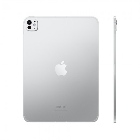 Apple iPad Pro 11" (2024) 2 ТБ Wi-Fi + Cellular Silver фото 1