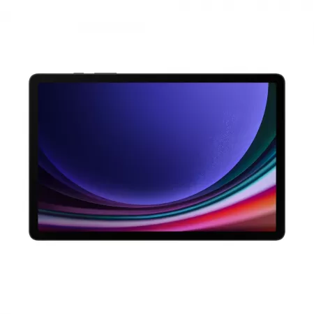 Планшет Samsung Galaxy Tab S9 12/256 ГБ 5G Графит (SM-X716B) фото 1
