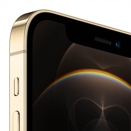 Смартфон Apple iPhone 12 Pro 256GB Золотой фото 1