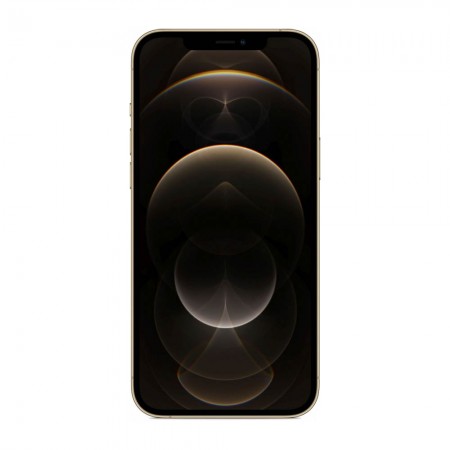 Смартфон Apple iPhone 12 Pro Max 256GB Золотой фото 1