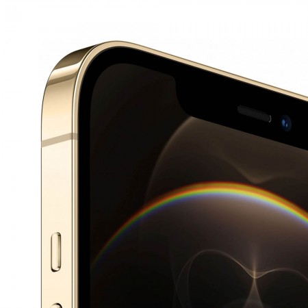 Смартфон Apple iPhone 12 Pro Max 128GB Золотой (Ростест) фото 3