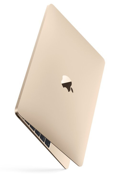 Ноутбук Apple MacBook 12" 2016 + AppleCare MLHA2/Z0TZ00012 (Intel Core i5 1300 MHz/16GB/256GB/Intel HD Graphics 615/Silver)  фото